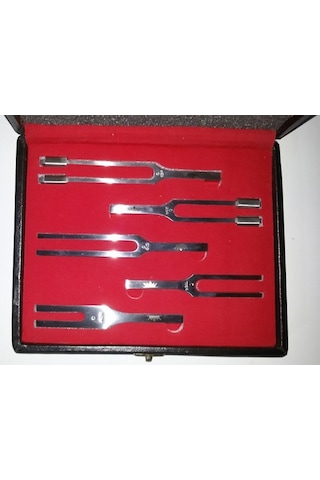 Diapozon Set Çelik 5 Parça Çantali