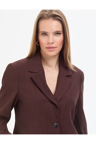 Pierre Cardin Kadın Kahverengi Ceket 50324082-vr029