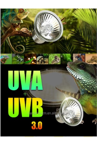 Mandallı Akrobat Lamba Tutacağı 25 W Uva/uvb Lamba Dahil Kırmızı