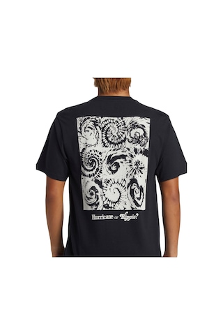 Quiksilver Aqyzt09540 Hurricane Or Hippie Moe Erkek Tişört 001