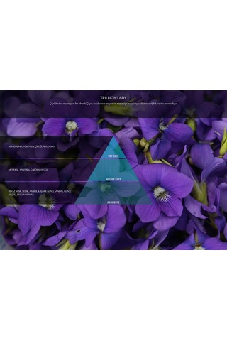 Trillion Lady Koku Kartuşu (M5-M6)