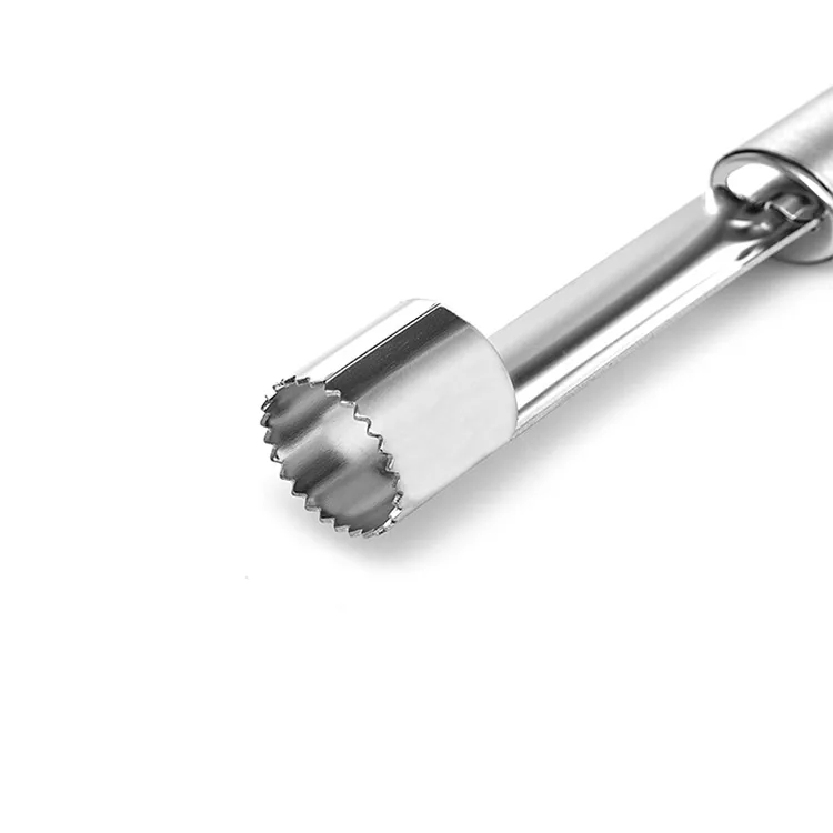 Alpina Sebze Meyve Kabak Patlıcan Acur Elma Oyucu - 22 Cm Metal