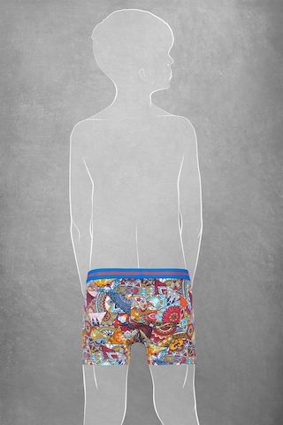 Doreanse Erkek Çocuk Modal Baskılı Patchwork Renkli Boxer 613