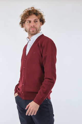 De Blasıo Bordo Erkek Hırka 222340050 Bordo