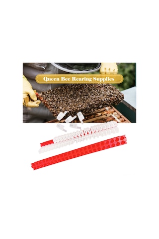 Hombey Arı Kraliçe Taşıma Aleti Seti - Taşıma Çubuğu + 46 Adet Kraliçe Kafesi, Arıcılık Ekipmanı Qr-025h Yeni Model