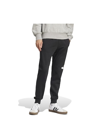 Black/whıte Adidas Erkek Günlük Eşofman Altı M Bl Fl Tc Pt In6147 Siyah
