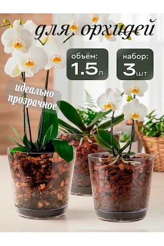 Saburg Orkide Saksısı Çiçek Saksısı Şeffaf 1,5 Litre Set 74784764