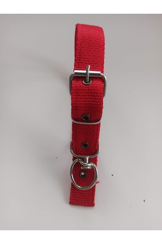 Kozaklı Orta Irk Köpek Tasması Kırmızı 60 x 3 CM