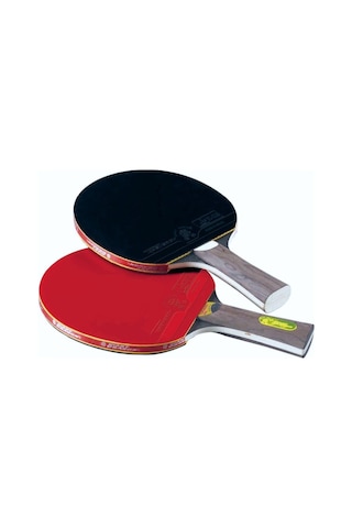 Giant Dragon P40+masa Tenisi Raketi Ittf Onaylı