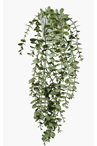 Lilac Home Elmas Beyaz Saksıda Pastel Yeşili Okaliptus Sarkıtı Yapay Çiçek