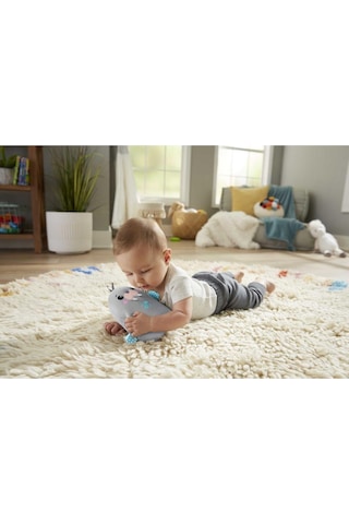 Fisher Price Sevimli Mors Uyku Arkadaşım Grt91