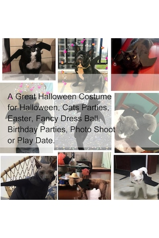 Vkemall Kedi Yarası Kanatlı Kostümü - Siyah L Beden - Felt Malzeme - Halloween, Parti Ve Fotoğraf Çekimleri İçin