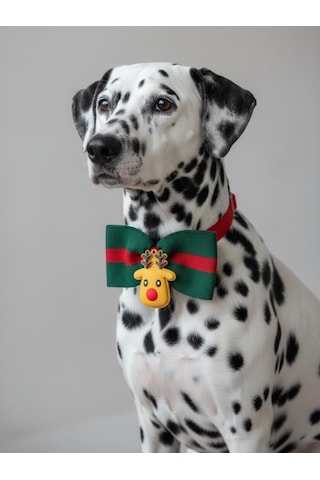 Royal Rudolph Premium Yılbaşı Köpek Papyonu Limited Edition Luxe Aksesuar Orta & Büyük Irklar İçin
