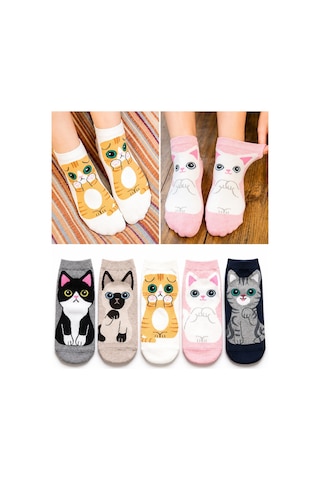 Worthy Socks 5'li Kedi Desenli Yüksek Kaliteli Renkli Patik Bilek Çorap