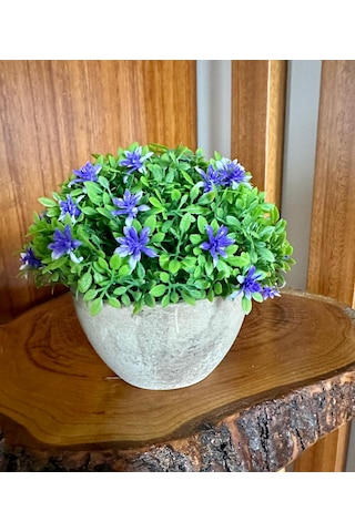 Premium Saksılı Yapay Çiçek Dekoratif Masaüstü Bitkisi 13x16 Cm Çok Renkli