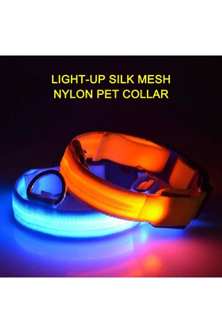 Geeroyoo Gece Görünürlüğü Artıran Suya Dayanıklı Led Nylon Köpek Tasması - Sarı, S Boy Sarı