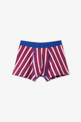 Penti Erkek Çocuk Mavi Music Lovers Çizgili Pamuklu 3lü Boxer