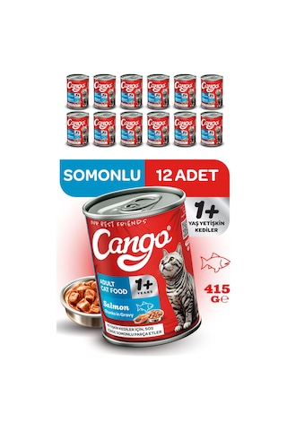 Cango Yetişkin Yaş Kedi Maması Somonlu 415gr 12li