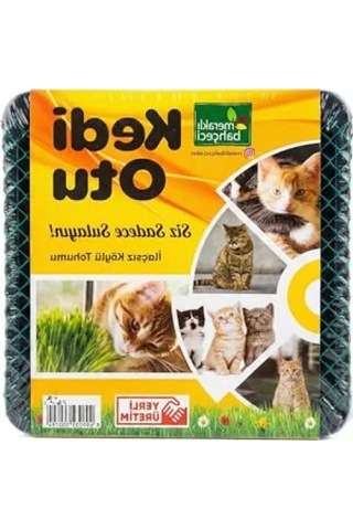 Sindirim Rahatlatıcı Kedi Çimi