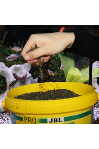 Jbl Pro Novo Malawı Grano M 5,5lt / 2750gr.
