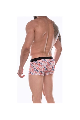 Erkek Çok Renkli Fantezi Giyim Desenli Boxer Hf072212