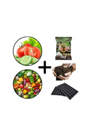 Domates-salata-biber-patlıcan-dolam B.60 Adt Tohun+toprak+gübre+viyol