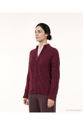 Yargıcı Regular Dik Yaka Uzun Kol Hırka 26kktr2047x 016 Bordo