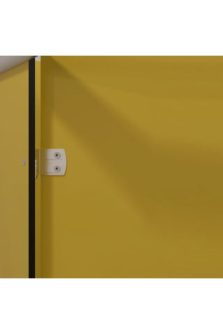 Ayrıntıshop Wc Tuvalet Kapı Ayarlı Kapazlama İki Delikli Menteşe Alyüminyüm