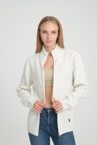 Alexander Gardi Alexandergardı Balıkçı Yaka Fermuarlı Comfort Fit Triko Hırka E22-5714 001