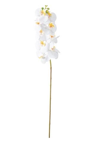Orkide Dal Çiçek Beyaz 92 Cm Çok Renkli