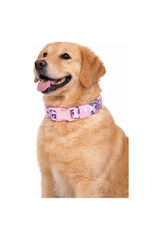 Swissplus Urban Paws Pink Leo Recycled Köpek Tasması - 25mm Beyaz - Pembe