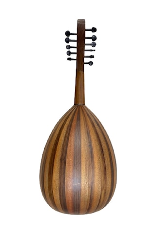 Eğitimlik Zenne Ud Kaliteli Öğrenci Seviye