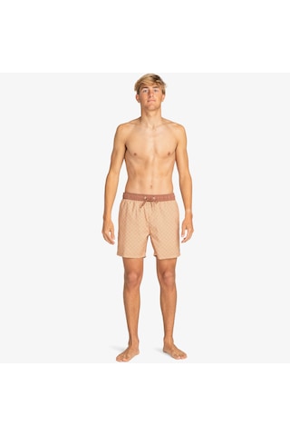 Billabong Vacay Layback Erkek Bej Deniz Şortu - Ebyjv00128