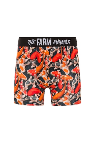 Farm Animals Koi Fishes Desenli Boxer Çok Renkli