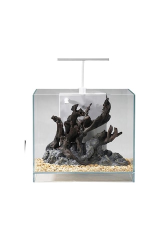 Jeneca Zj-20 Akvaryum+dekor 20x20x25 Cm 10l