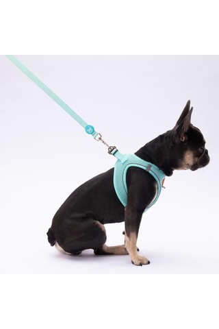 Pawstar Mint Leash Kedi Köpek Sevk & Gezdirme Kayışı Köpek Uzatma Tasması Mint