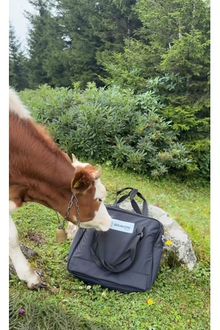 Bravon Outdoor 21 Litre Kamp - Mangal Çantası Körüklü 3 Bölme Ve Astarlı Siyah