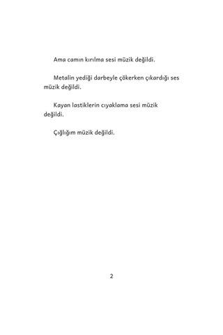 Kuşun Şarkısı - Resimli Çocuk Romanı / 8 yaş + -