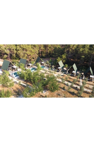 Masifev Stella 70M2 2+1 Dev Üçgen Ahşap Ev