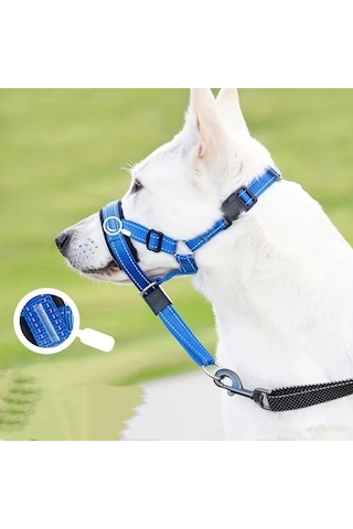 Elmpaly Mavi Küçük Köpek Tasması, Ayarlanabilir Rahat Antrenman Yürüyüş