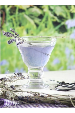 Lav Orion Dondurma Tatlı Kasesi 3lü