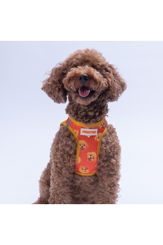 Poodle Air-mesh Göğüs Tasması Kedi Köpek Göğüs Tasması Turuncu