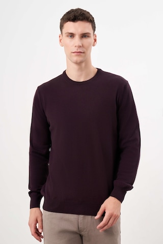 Morven Erkek Mor Basic Bisiklet Yaka Dynamic Fit Rahat Kesim Triko 26kc017006309 Mor Mor