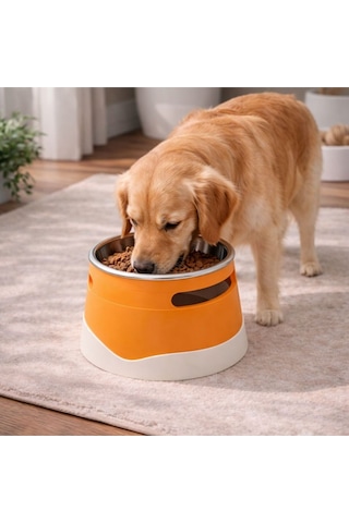 İsime Özel Yükseltilmiş Köpek Mama Kabı Paslanmaz Çelik Hazne, Ergonomik Tasarım
