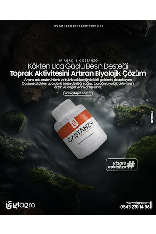 Yf Agro Costanzo 0.5 kg