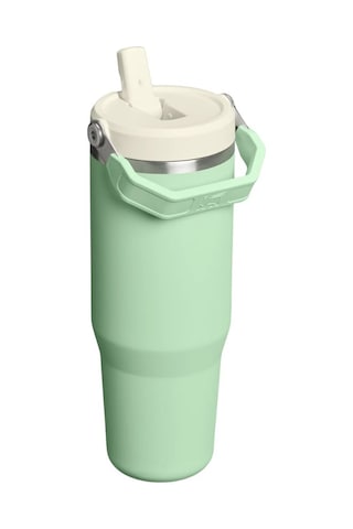 Stanley The Iceflow Flip Straw 2.0 Tumbler 0.89l / 30oz Pistachio Çok Renkli