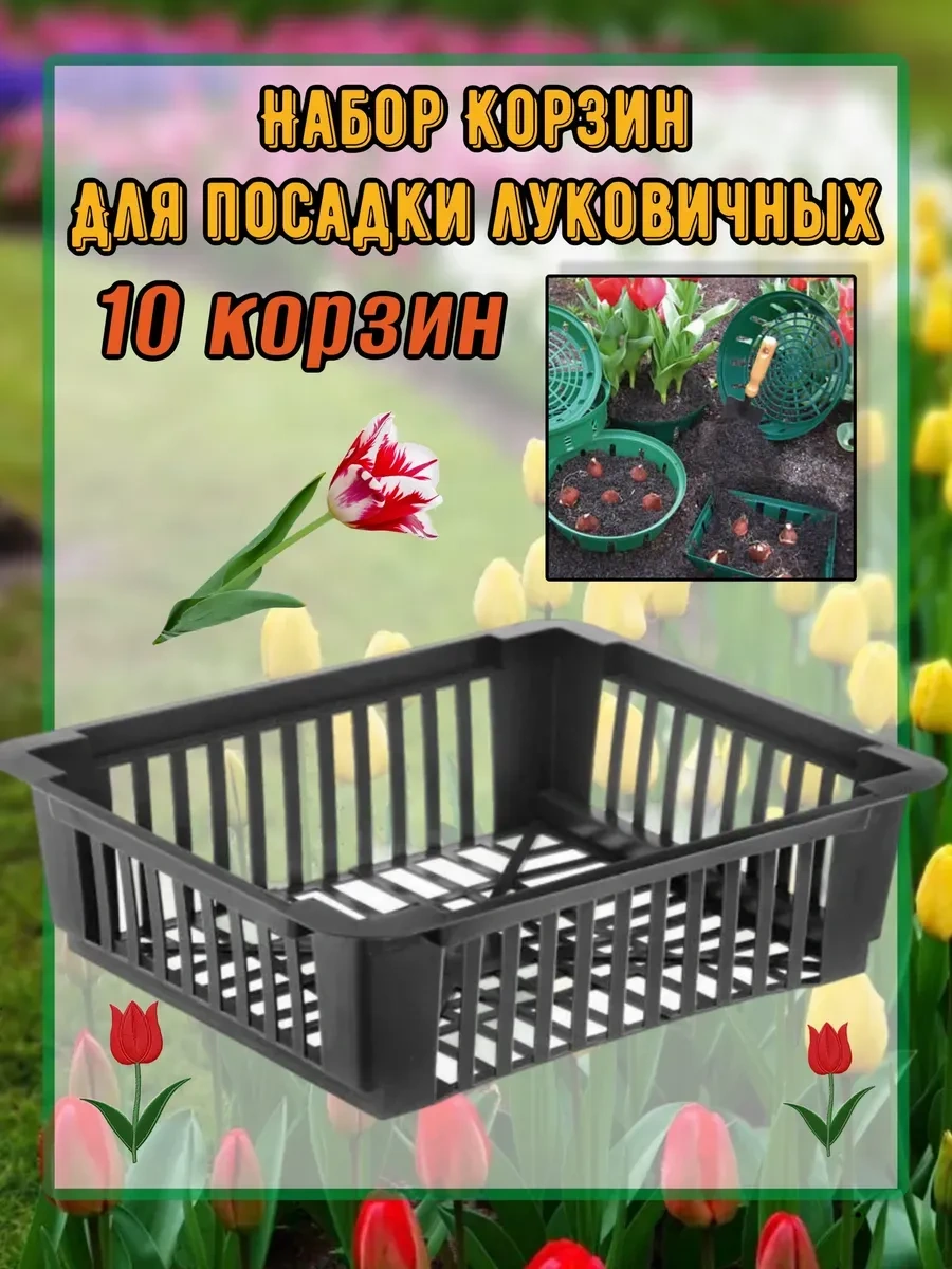 Botanikum Soğanlı Bitkiler Ve Kelebek Yetiştirme Sepeti 324986763