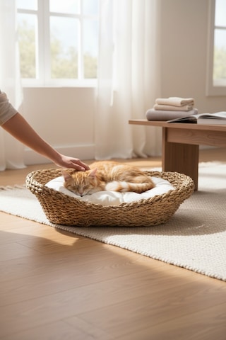 Akayev Nature Hasır Oval Kedi Ve Köpek Yatağı Minderli 53x40x14 Cm