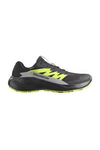 Salomon Alphaglıde Gore-tex Black/alloy/sharp Green Erk Patika Koşusu Ayakkabısı L47802000 Siyah