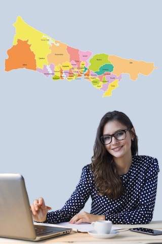 Istanbul Anadolu Ve Avrupa Yakası Haritası Görünümü Kağıt Tahta 1